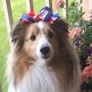 Meet your Posher, Jacie